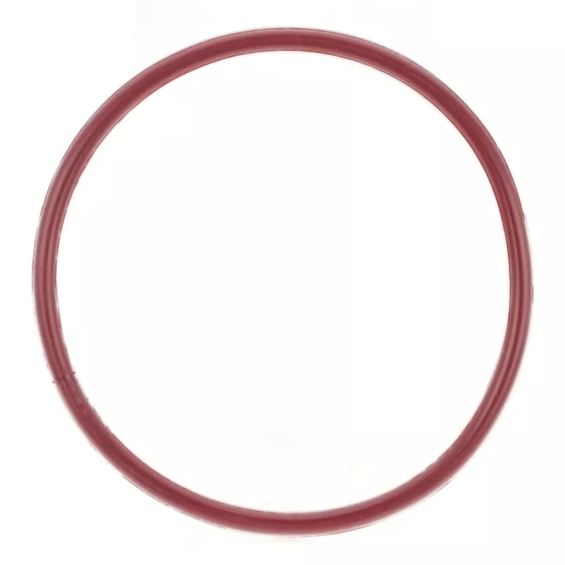 FEP/PFA Kapsüllenmiş O-Ring
